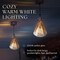 Next Glow Edison LED Bulb – Vintage Diamond, Warm White, Dimmable E26 Decorative